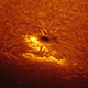 Illustration for article titled Solar Eruptions Captured By DiY Astronomer